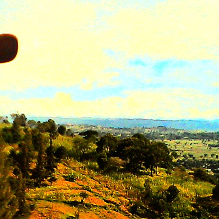 Jerexaud's profile banner image