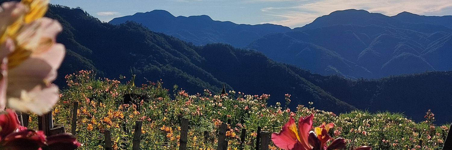 vinderwaals's profile banner image
