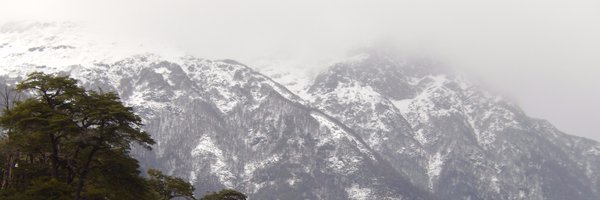 gafaled Profile Banner