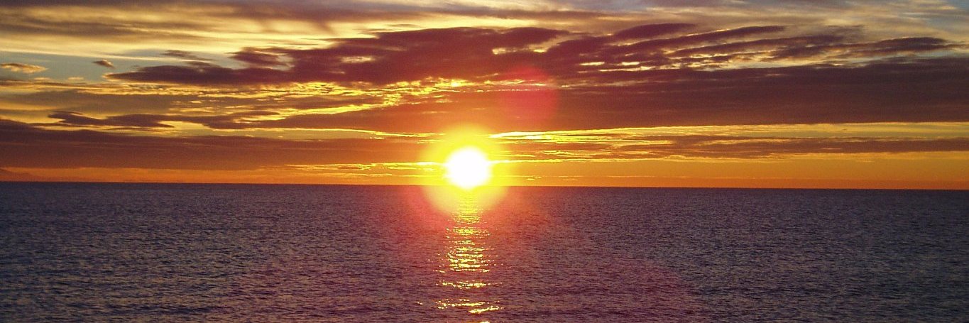 DDB Physiotherapy banner