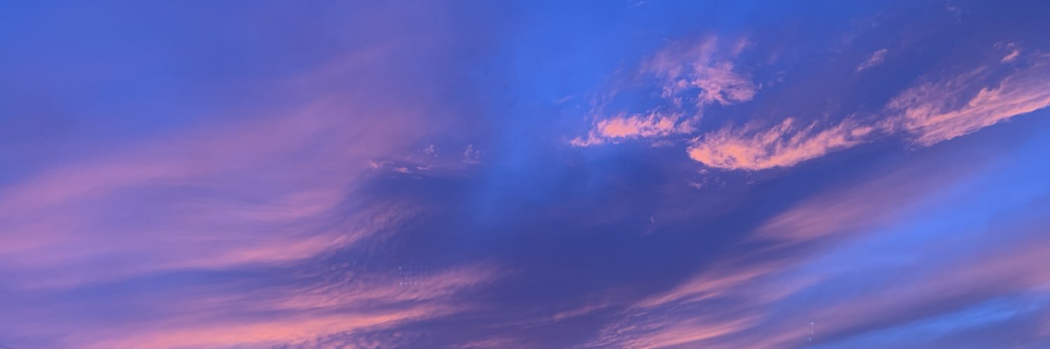 adiaaa__'s profile banner image