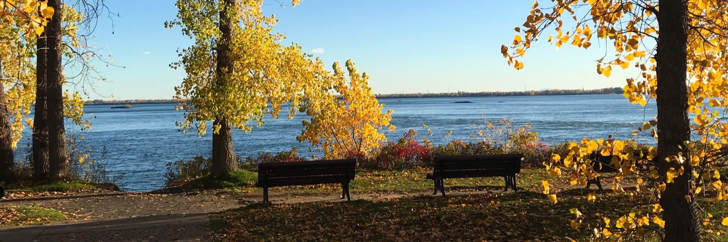 Stéphane Vial banner