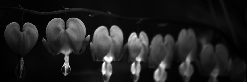 K_M_Akers's profile banner image