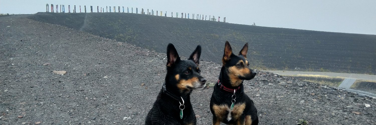 Rudolf Linsenbarth banner