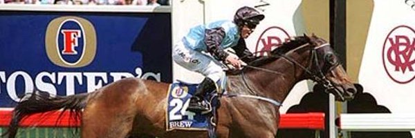 BallymoreStabls Profile Banner