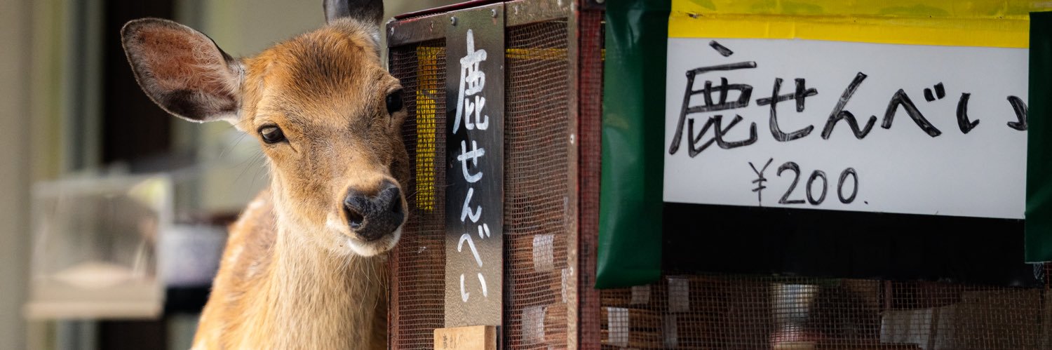 deergocchi's profile banner image