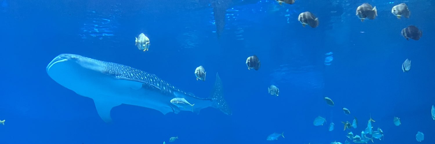 Cristina Yang banner