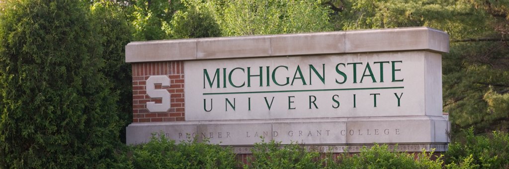 Anuradha Singh banner