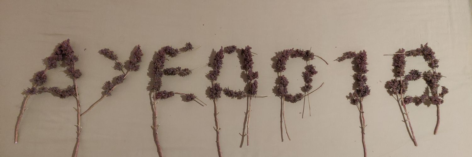 ayedd185's profile banner image