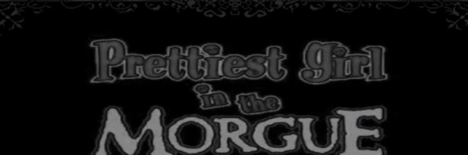 bere 🏴‍☠️₊ ♱'s banner