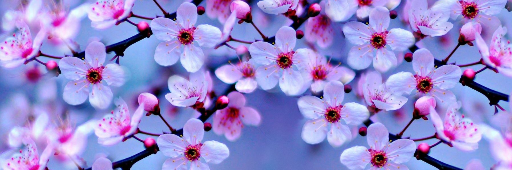 Lior0527's profile banner image