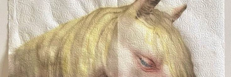 joel 🪿comms (2/3)'s banner