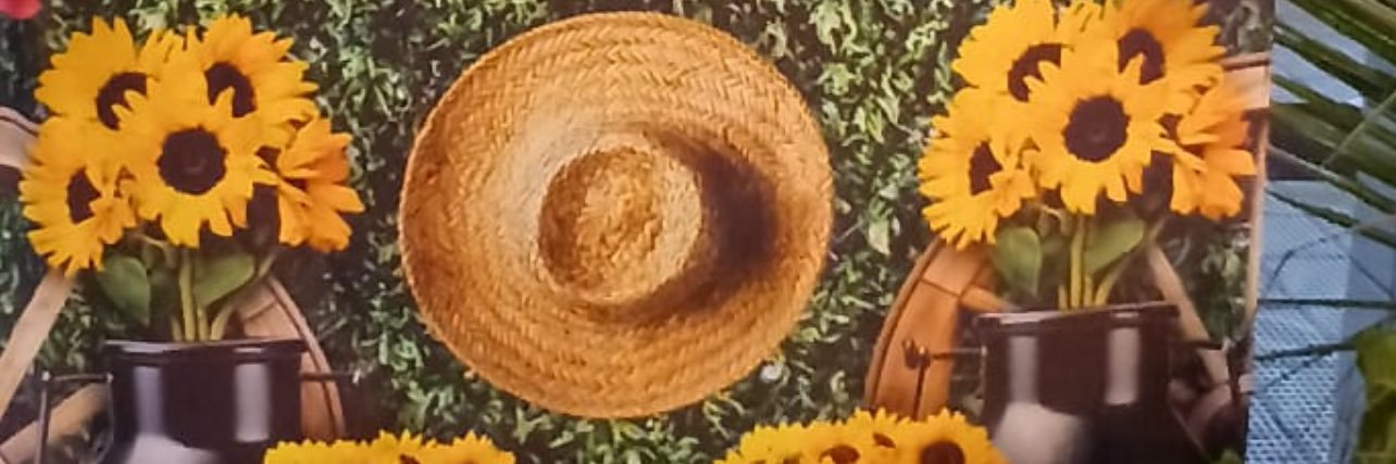 JhuSarah's profile banner image
