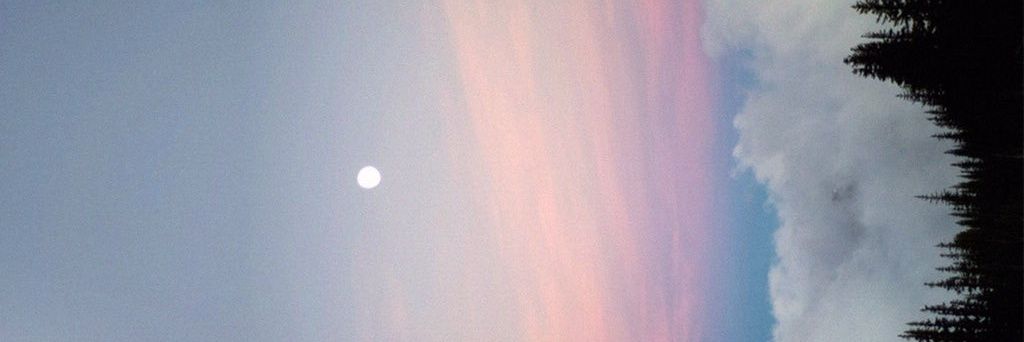 sedaaaasener's profile banner image