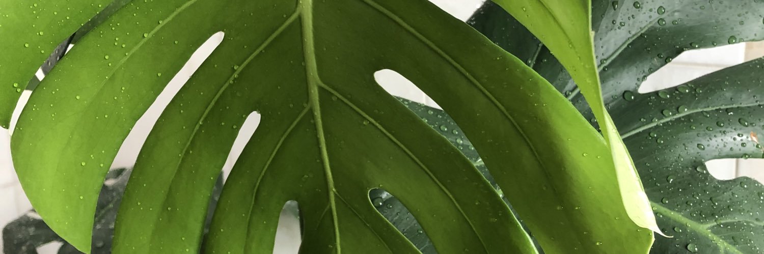 juliaaNiehoff's profile banner image