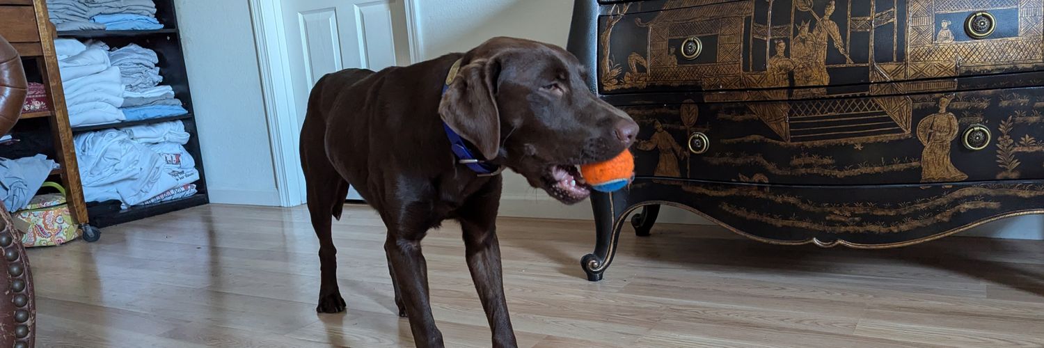 U.S. Navy Veteran banner
