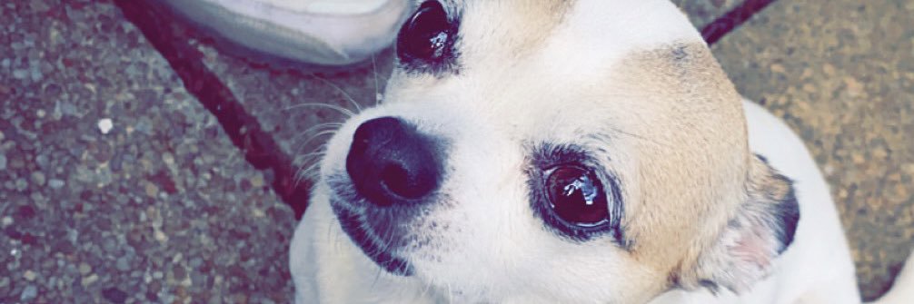Melanniehh's profile banner image