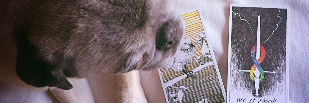 _ikuko_'s profile banner image