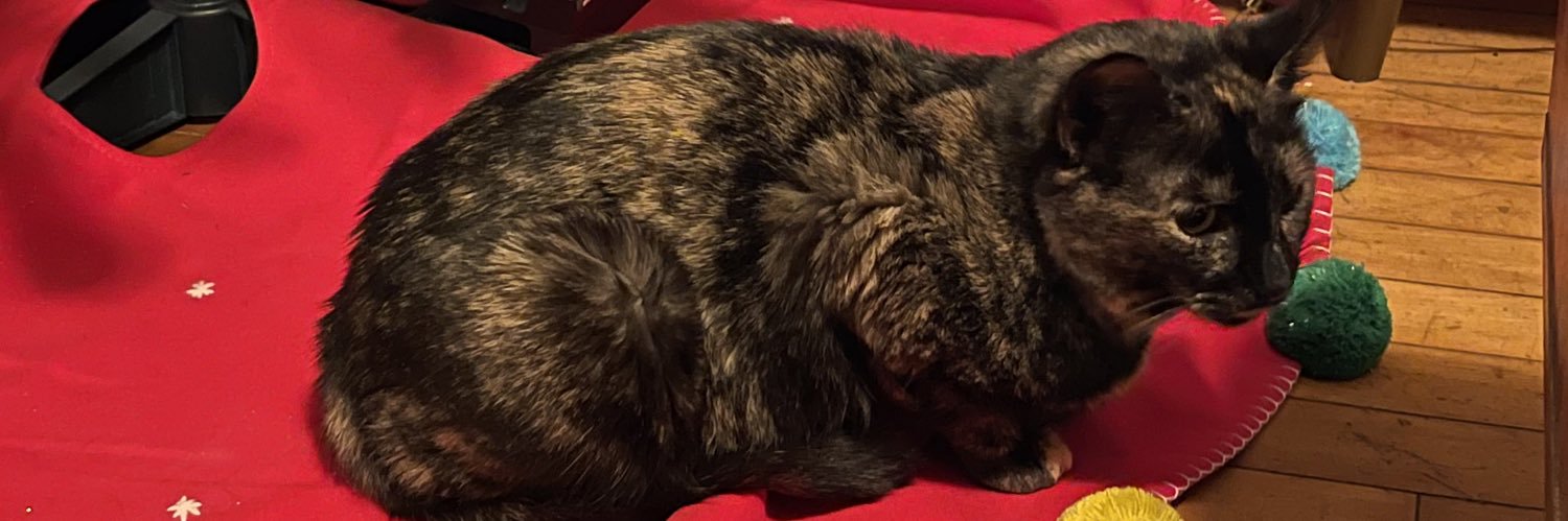 okcesar0's profile banner image