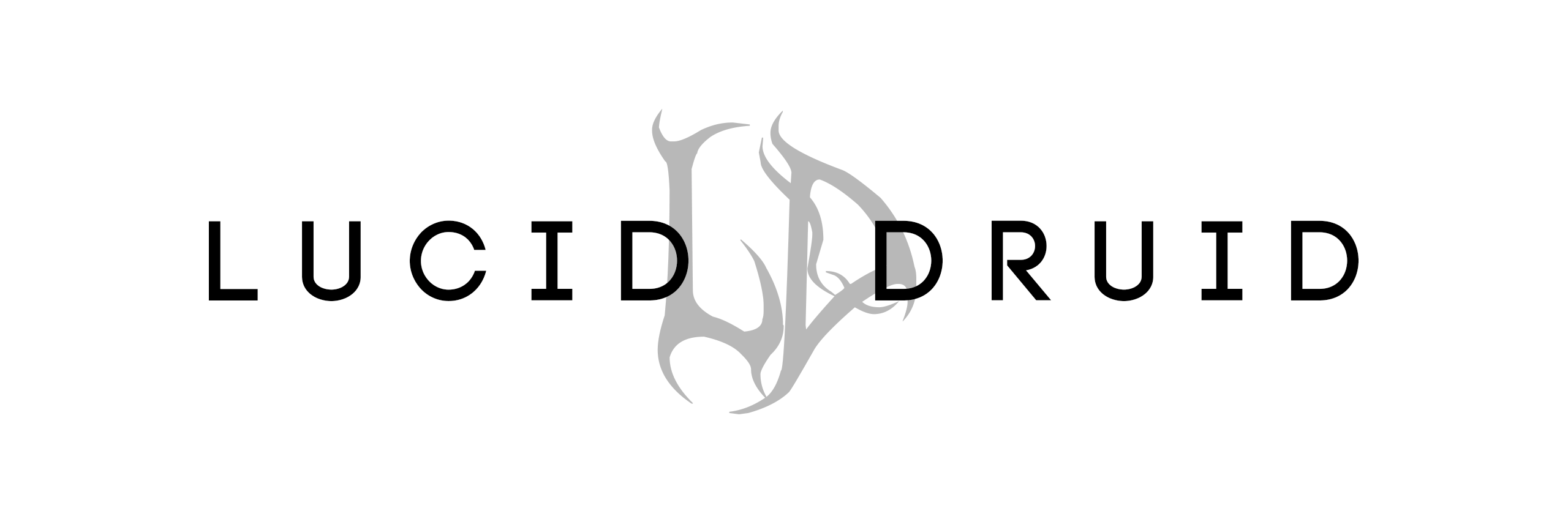 Lucid Druid banner