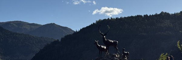 purr___cat Profile Banner