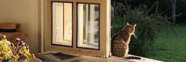 kin gamada lolos pil 1 banner