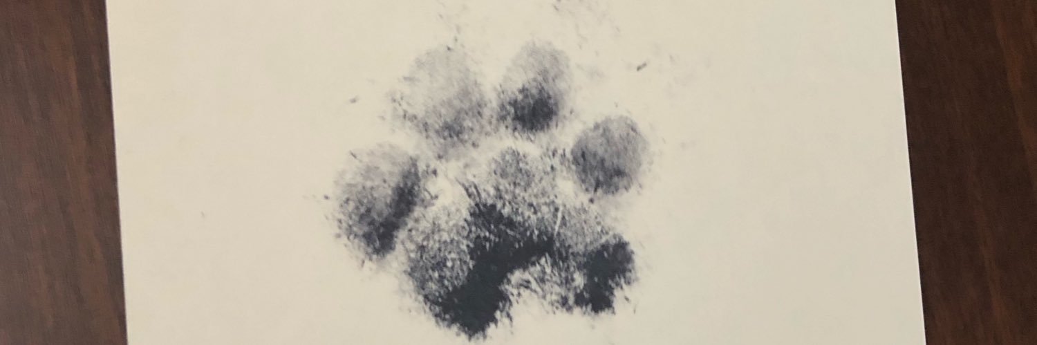 sylphvoid's profile banner image