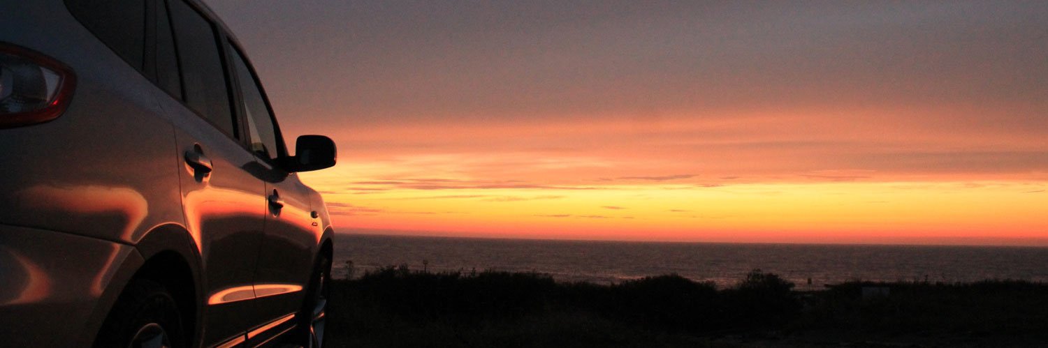 David Whitmire banner