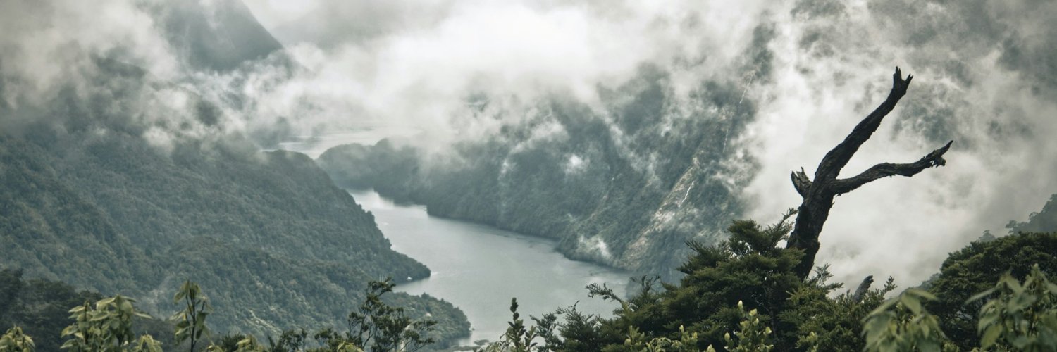 Remote Navigator 🧭 banner