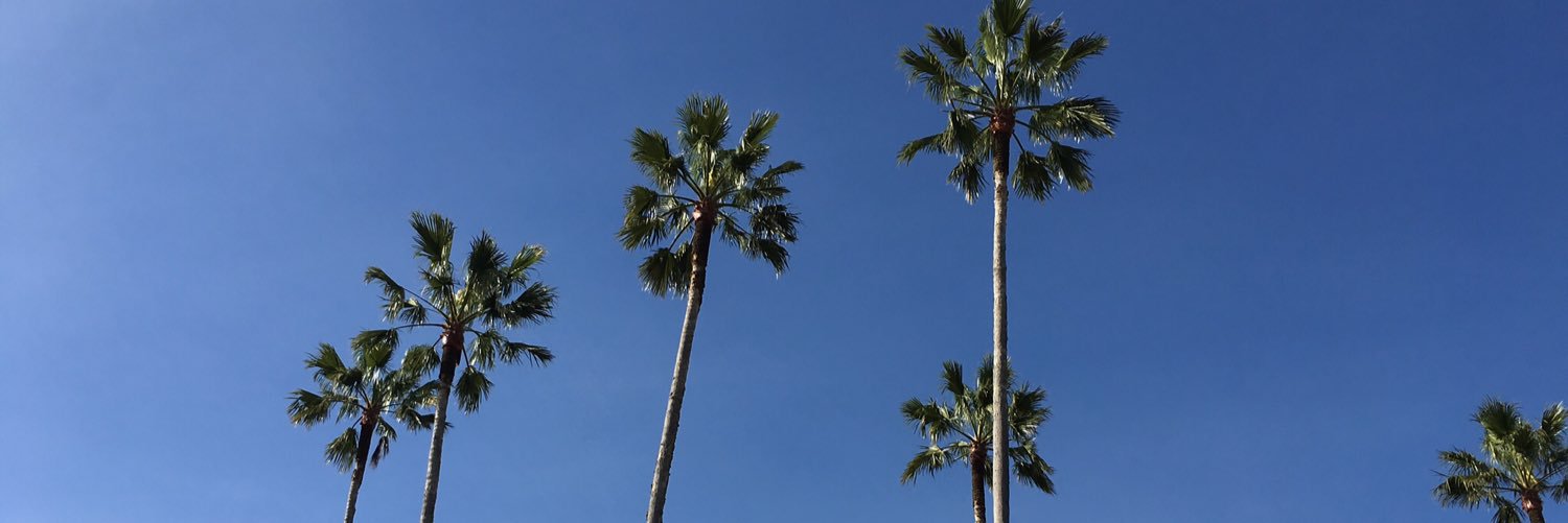 Chaneliey's profile banner image