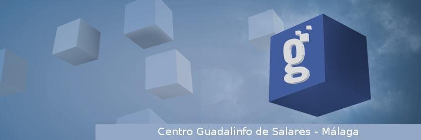 Vuela Salares banner