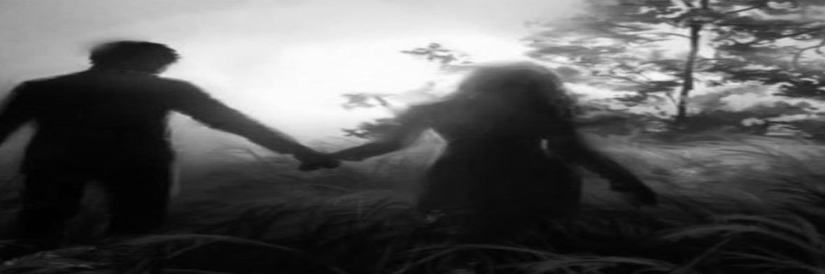 ⋆˚࿔ 𝒍𝒐𝒍𝒐 𝜗𝜚˚⋆ banner