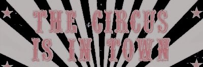 ‍‍ ‍ ‍‍ ‍ ‍‍ 𐔌 . ⋮ 𝒑𖦹𝒎𝒏𝒊 .ᐟ ֹ ₊ ꒱ banner