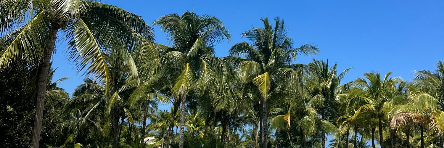 Heat Archive Slips banner