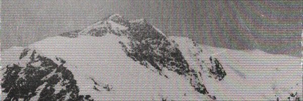 alohquant Profile Banner