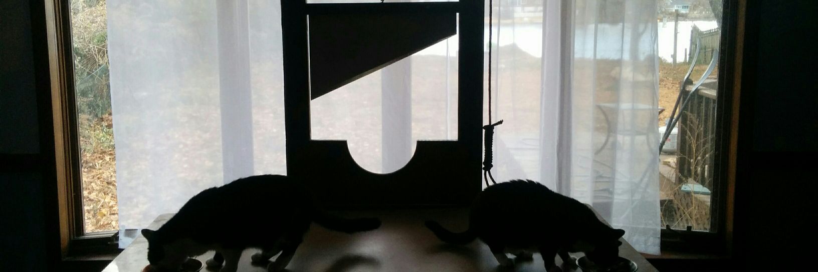 Dick from Dyke🦕🦖 banner