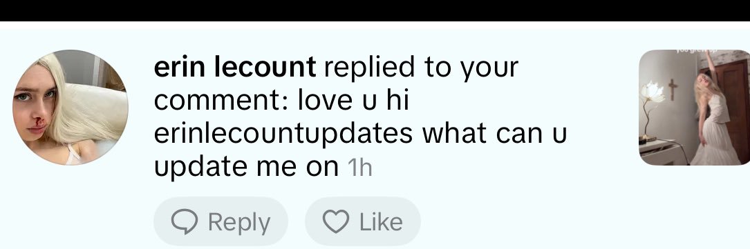 erinlecountupdates banner