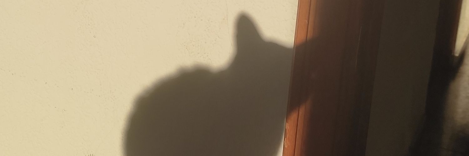 cuartoamarillo's profile banner image