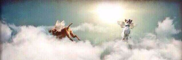 PatronSaintDogs Profile Banner