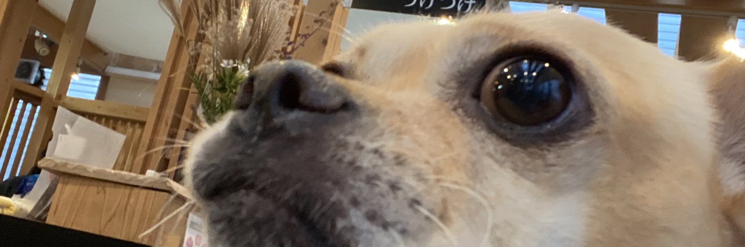 mantom10's profile banner image