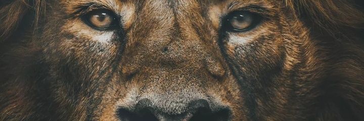 don_phezy's profile banner image