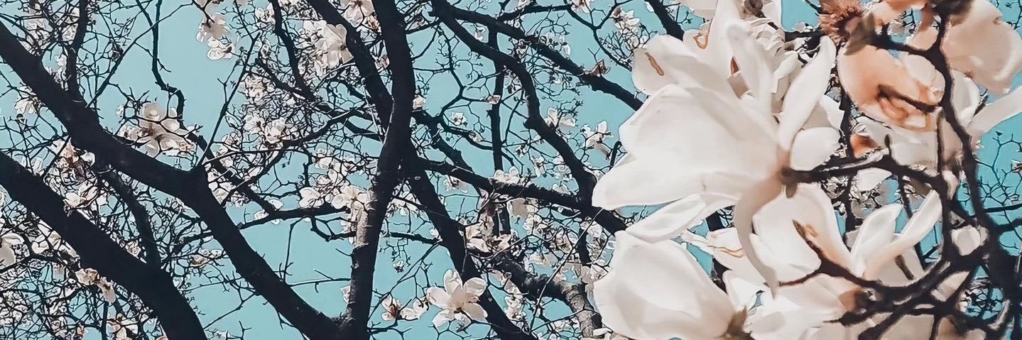 GittaGitul's profile banner image
