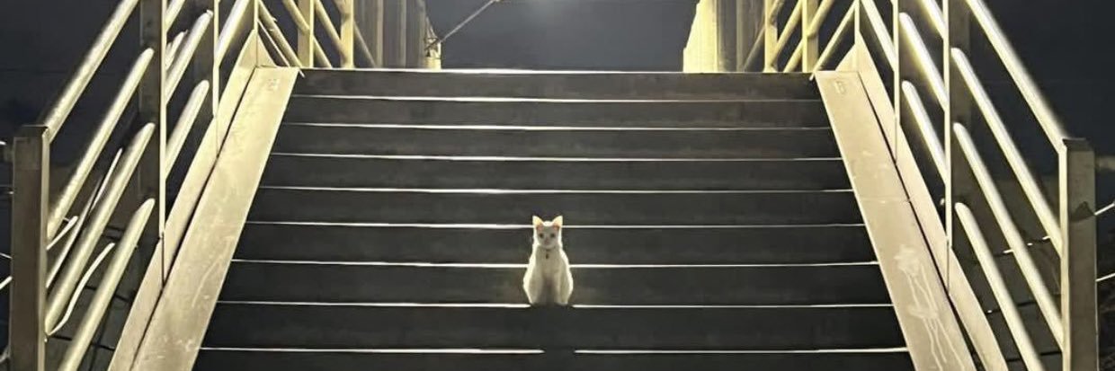 0% banner