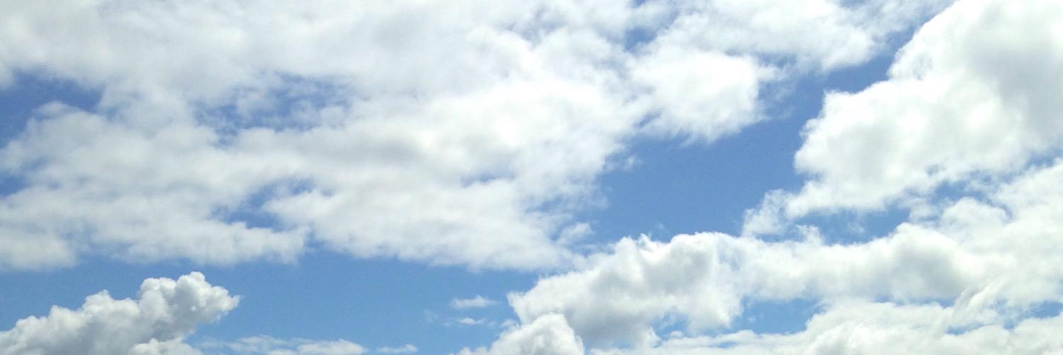 Kathy__D's profile banner image
