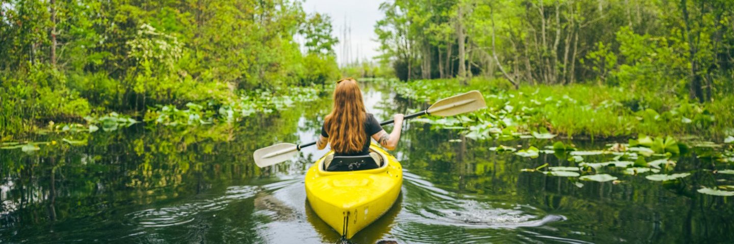 Explore Georgia banner