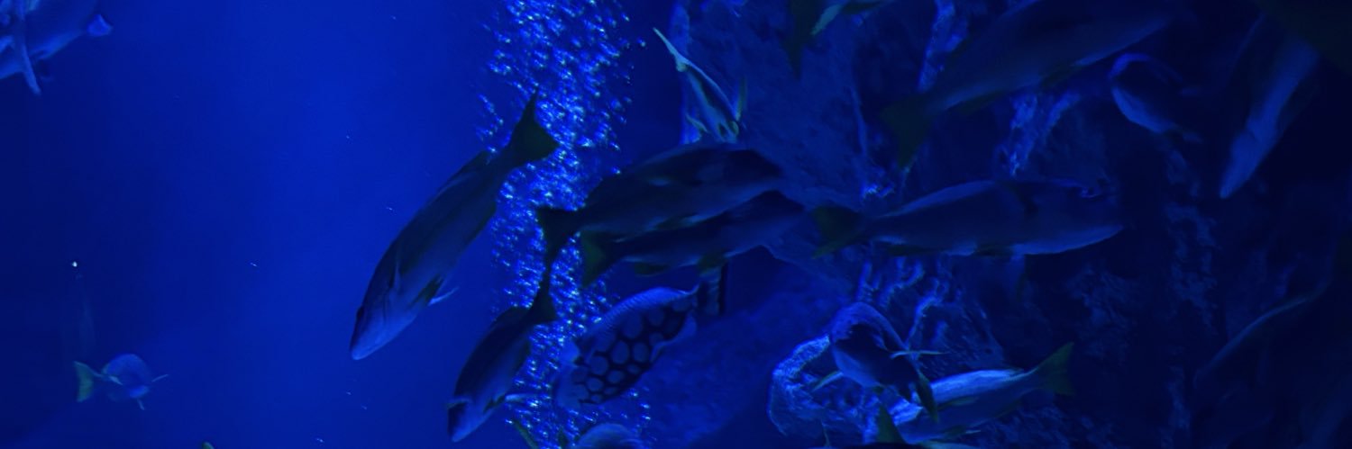 𝐑𝐢𝐫𝐢ᵕ̈* banner