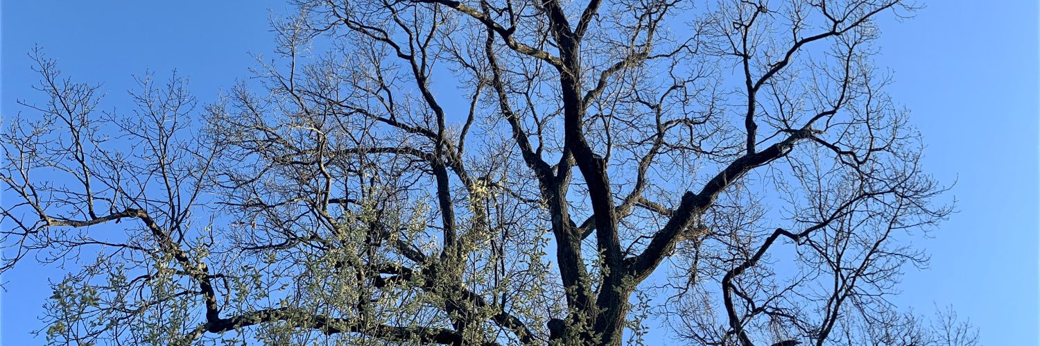 Mats Berglund banner