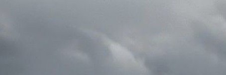 Moybio banner