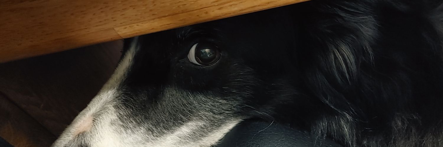 LastVoiceBender's profile banner image