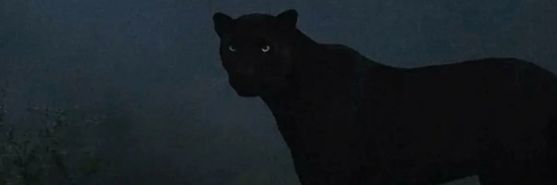 caant9's profile banner image